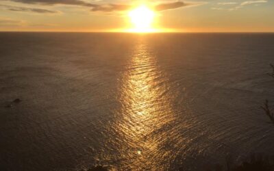 les enfants du soleil, essai sur le spleen et l&rsquo;espoir printanier